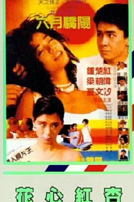 久久综合九九